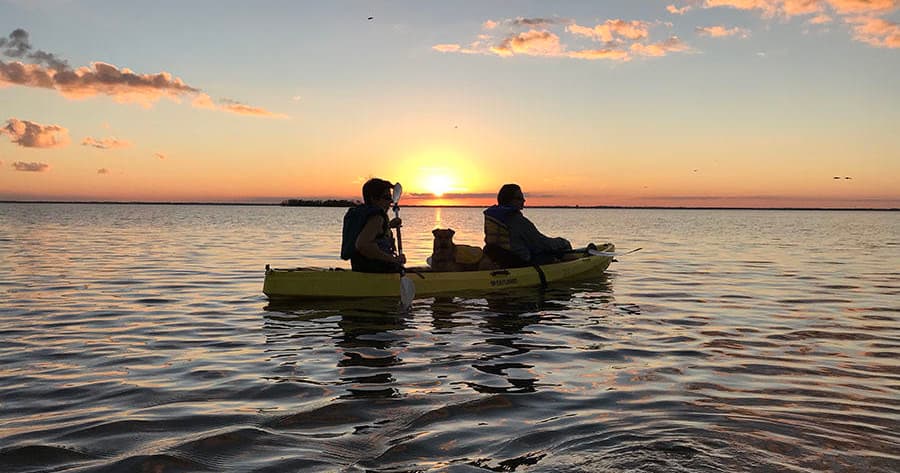 Two kayakers silhouetted at sunset on calm coastal estuary