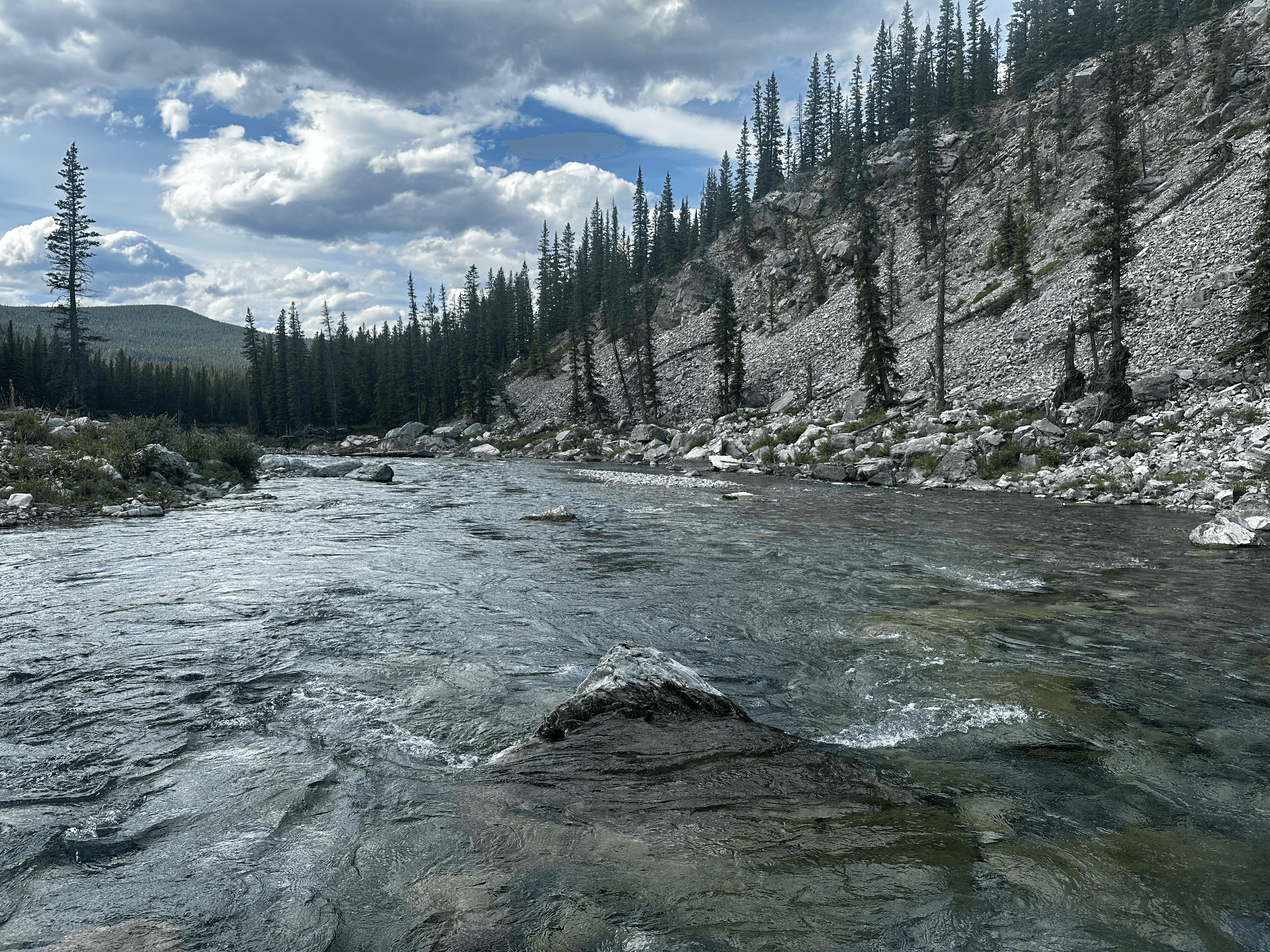 Slow-Flow Sightseeing on the Alpine River: Guided Floats from Bragg Creek photo 1