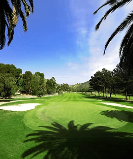 Palm-lined golf fairway under blue sky at Catalina Island course