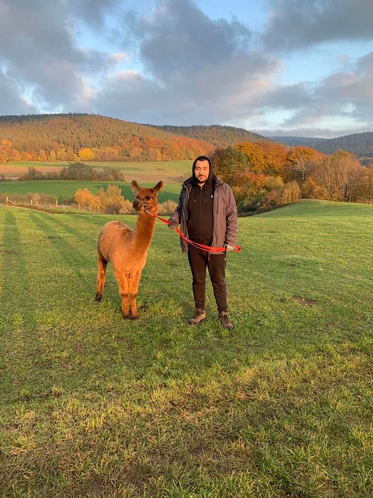 Wildlife & Nature Adventure at Western Alpakas in Spessart