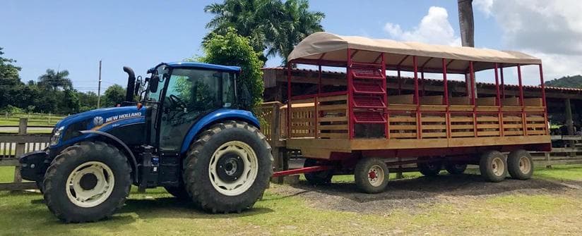 Tractor pulling covered rainforest hayride through tropical grounds
