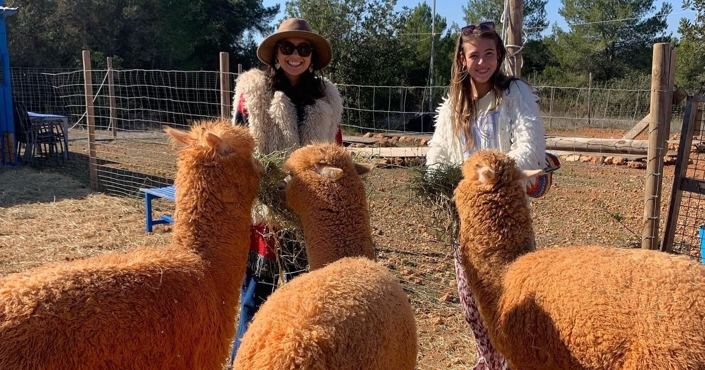 Ibiza Alpaca Experience with Farm Experiences & Tours