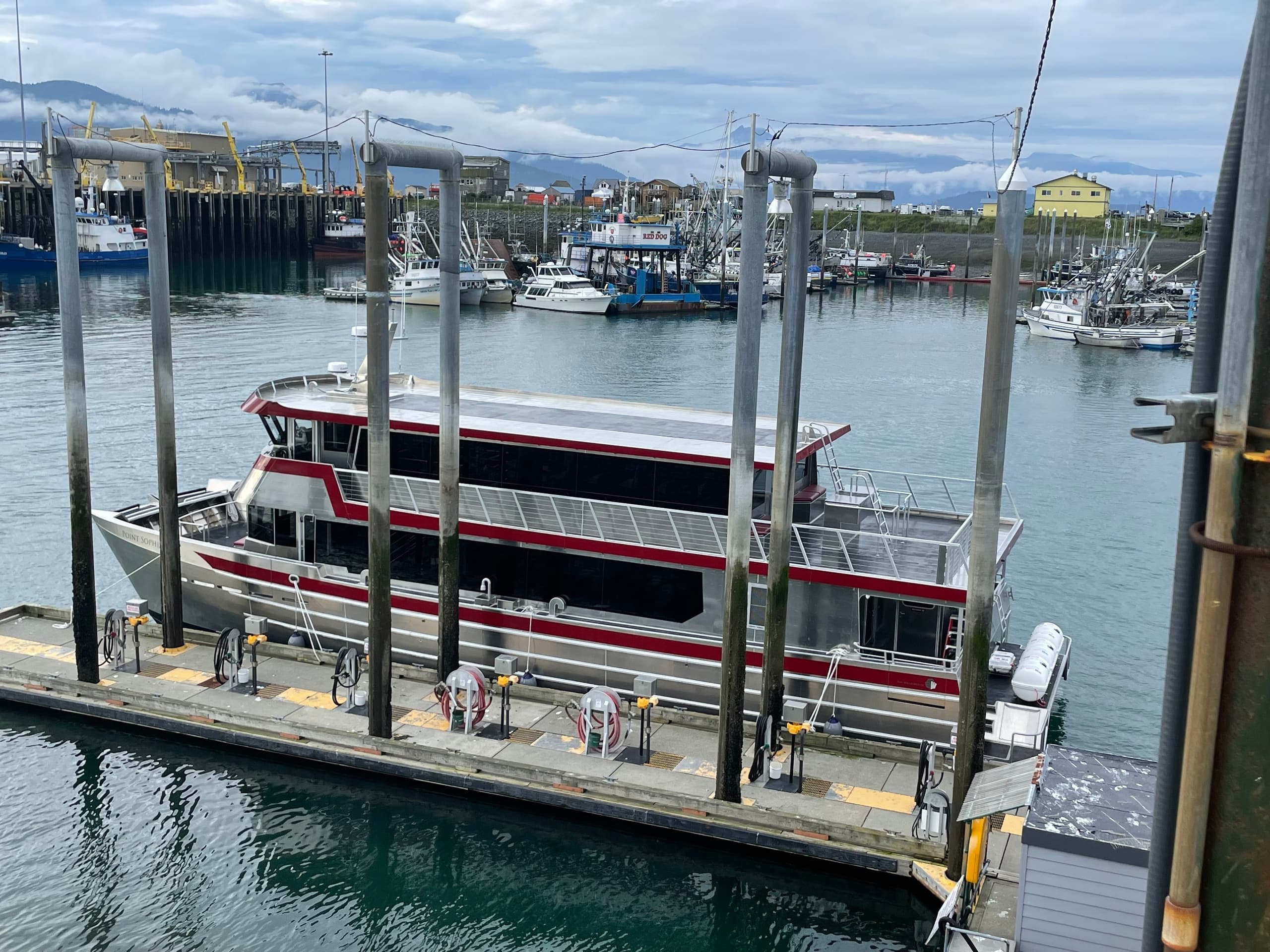Klawock Calls Whale Watch Adventure in Hoonah, Alaska