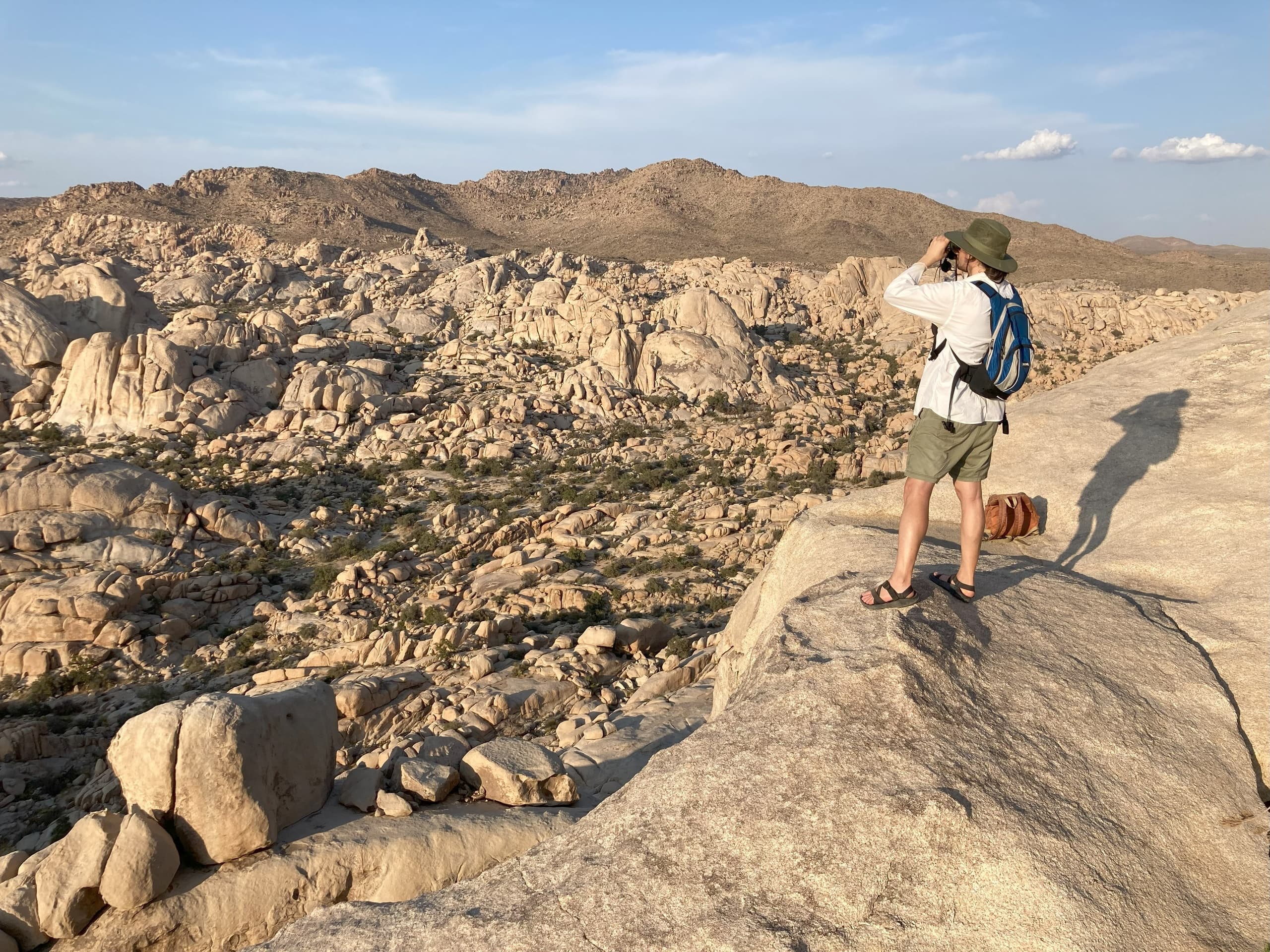 Joshua Tree Excursions fleet