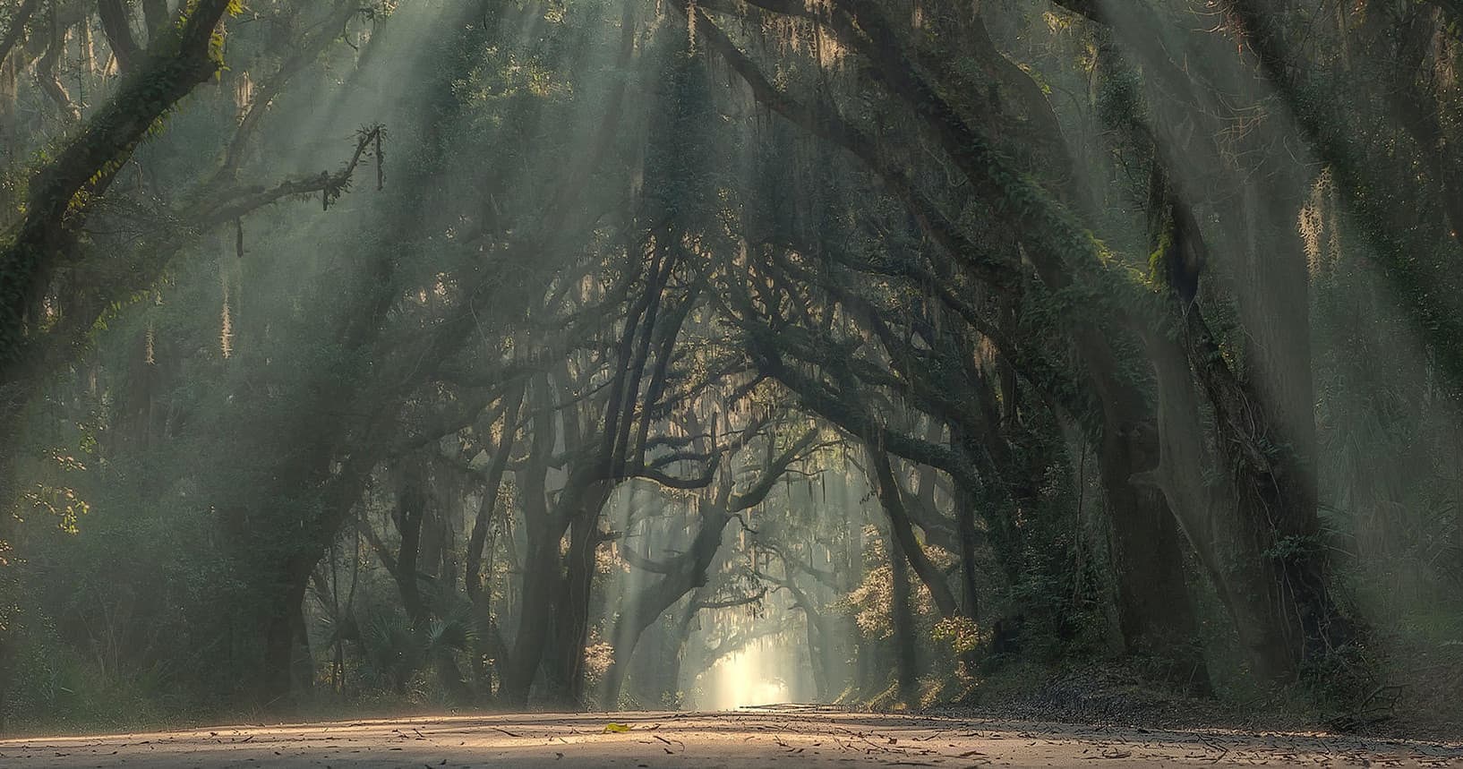 Charleston Photography Tours fleet