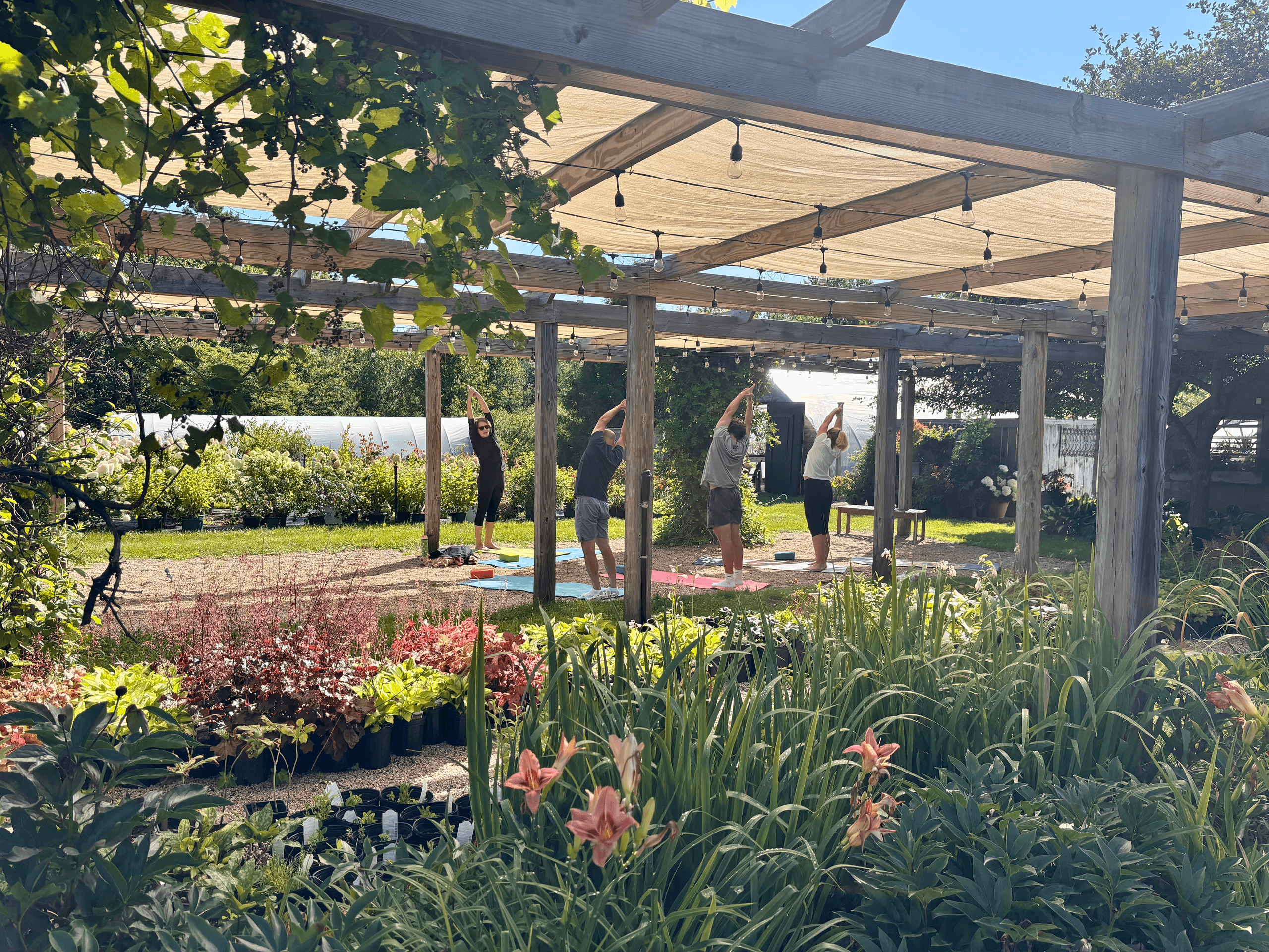 Outdoor Yoga Experience at Blackrock Farm