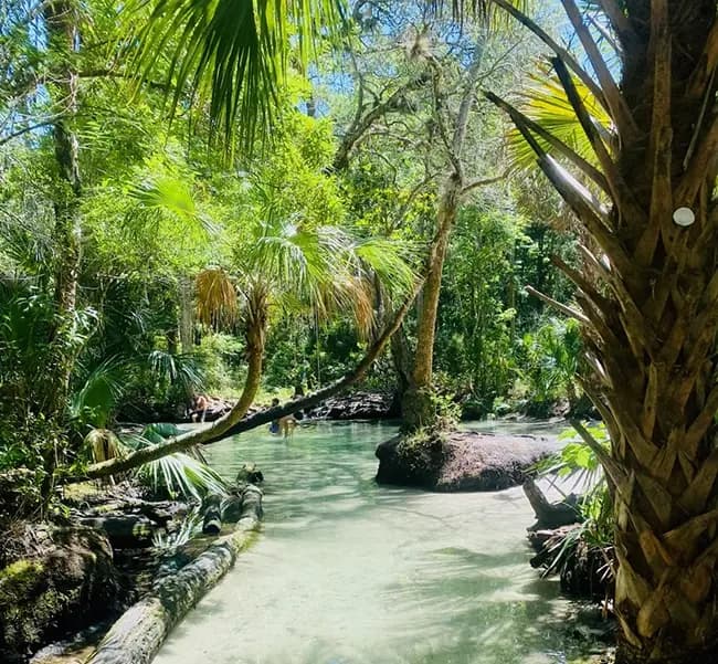Explore the Chassahowitzka River: Kayak, Swim, and Discover The Crack in Florida’s Pristine Springs