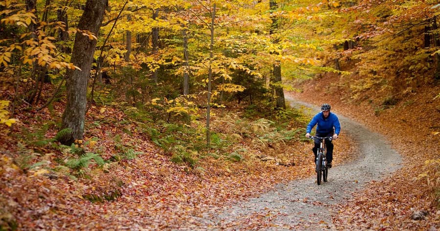 Bike Rental in Follina with Italy Cycling Tour