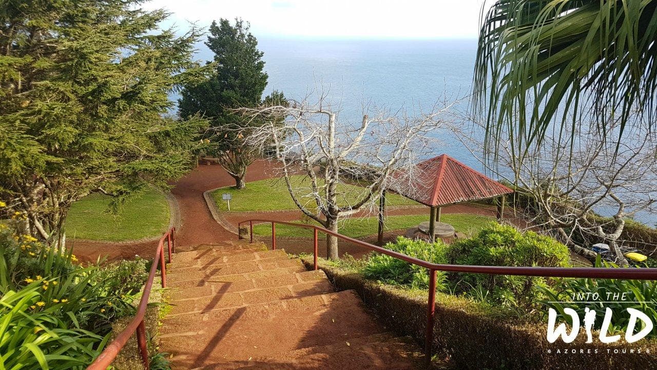 Nordeste Full-Day Tour | Into The Wild Azores Tours