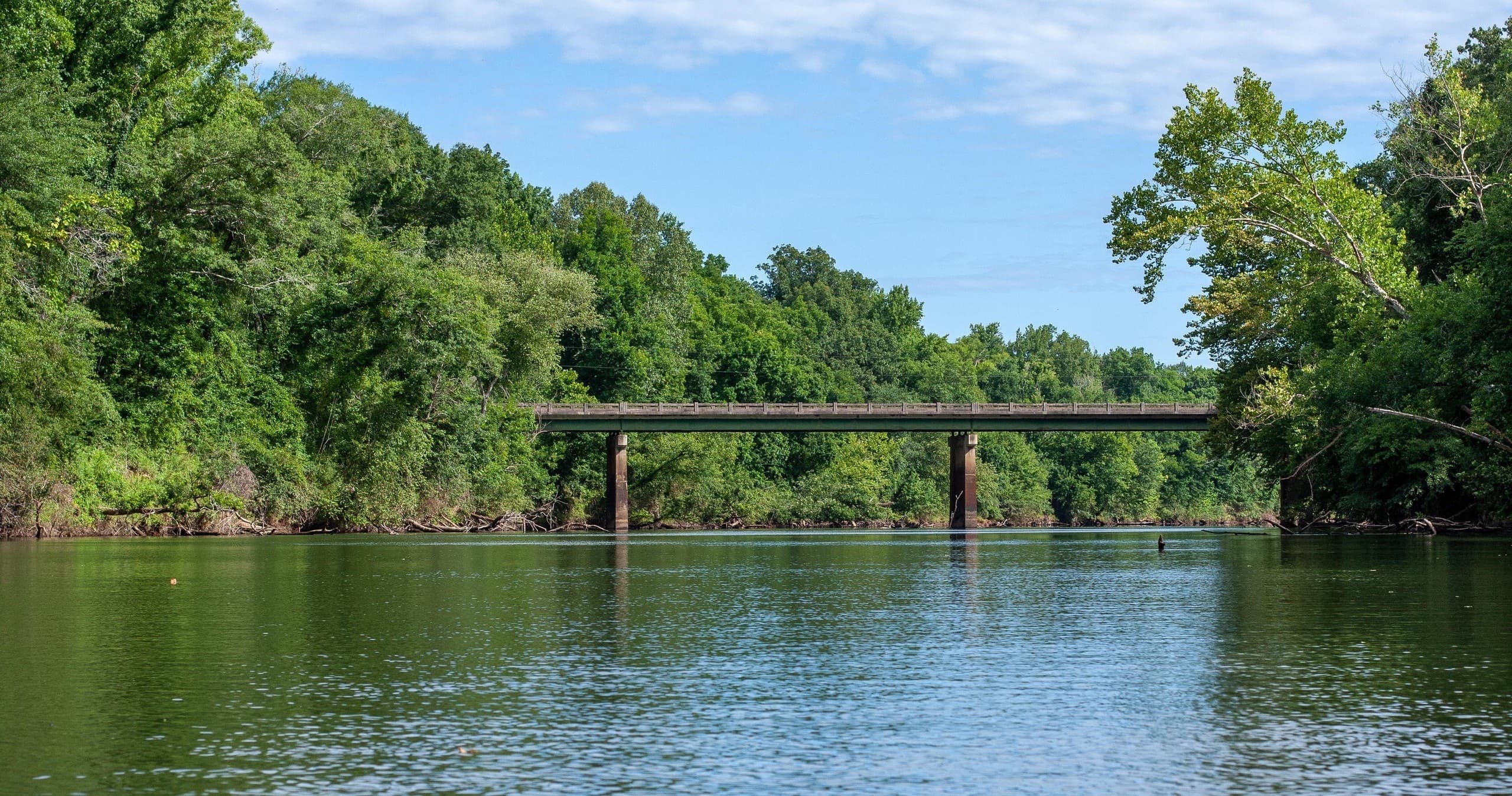 Paddle the Pristine Ocmulgee River: Max’s Favorite Float from Hwy 83 to Juliette