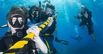 Ocean First Divers team