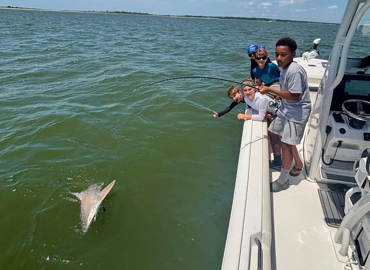 3-Hour Shark Fishing Charter in Mount Pleasant: Inshore Lowcountry Estuary Trip