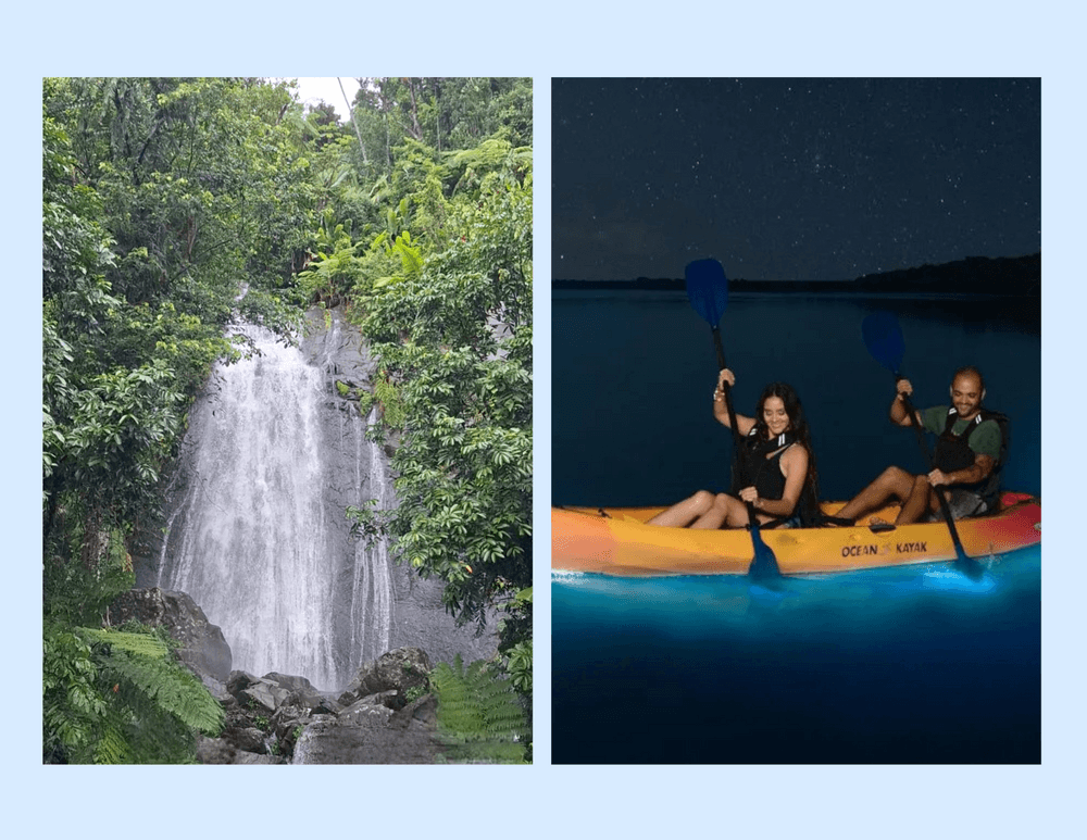 From Canopy to Cosmos: El Yunque Rainforest & Bioluminescent Bay Experience