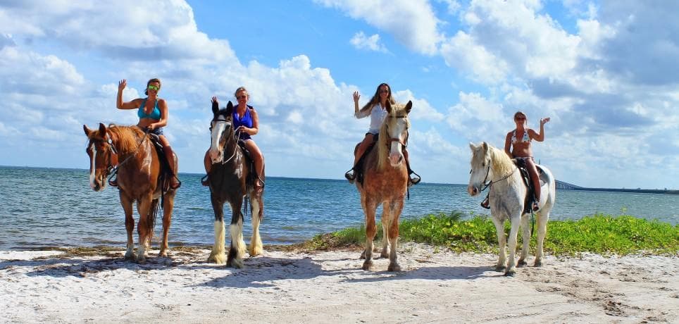 Group horseback ride along sandy shoreline under blue skies