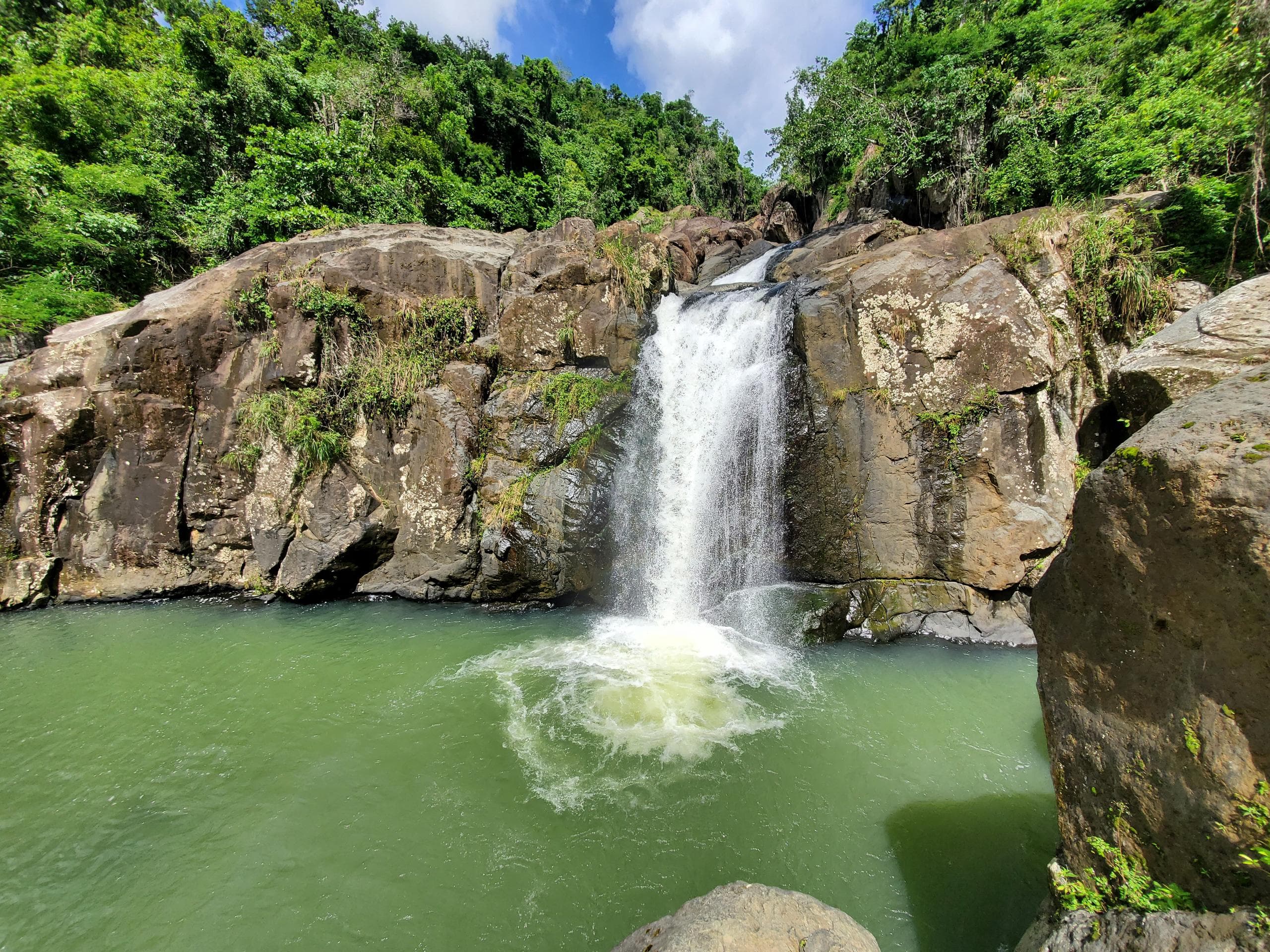 Adventures & Tours with Seeing Puerto Rico in San Juan
