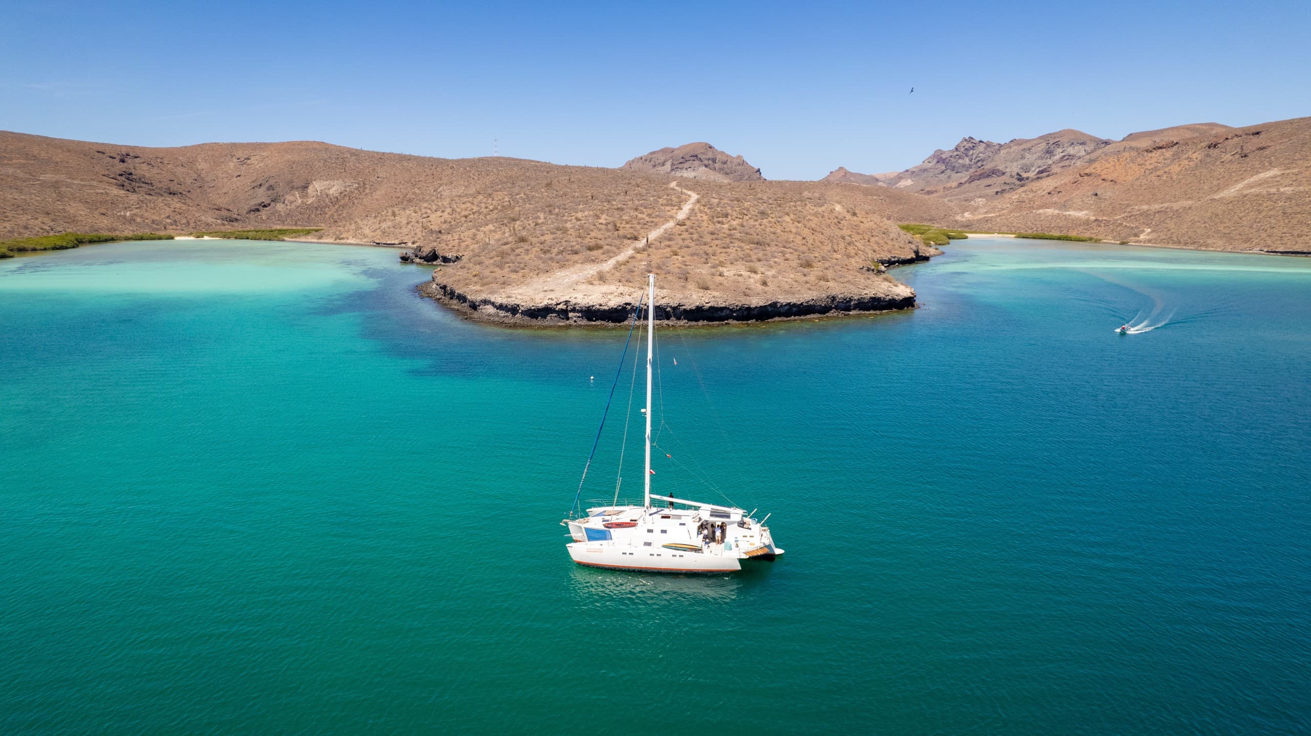 Stability and Sea Lions: 60' Trimaran Sailing Tours from La Paz photo 2