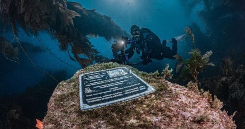 Guided Scuba Dive at Casino Point — Explore Catalina’s Kelp Forest in Avalon, CA