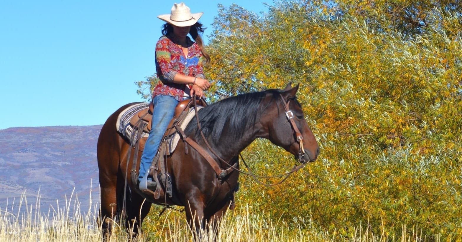 Elk Meadows Private Ride in Sundance, Utah