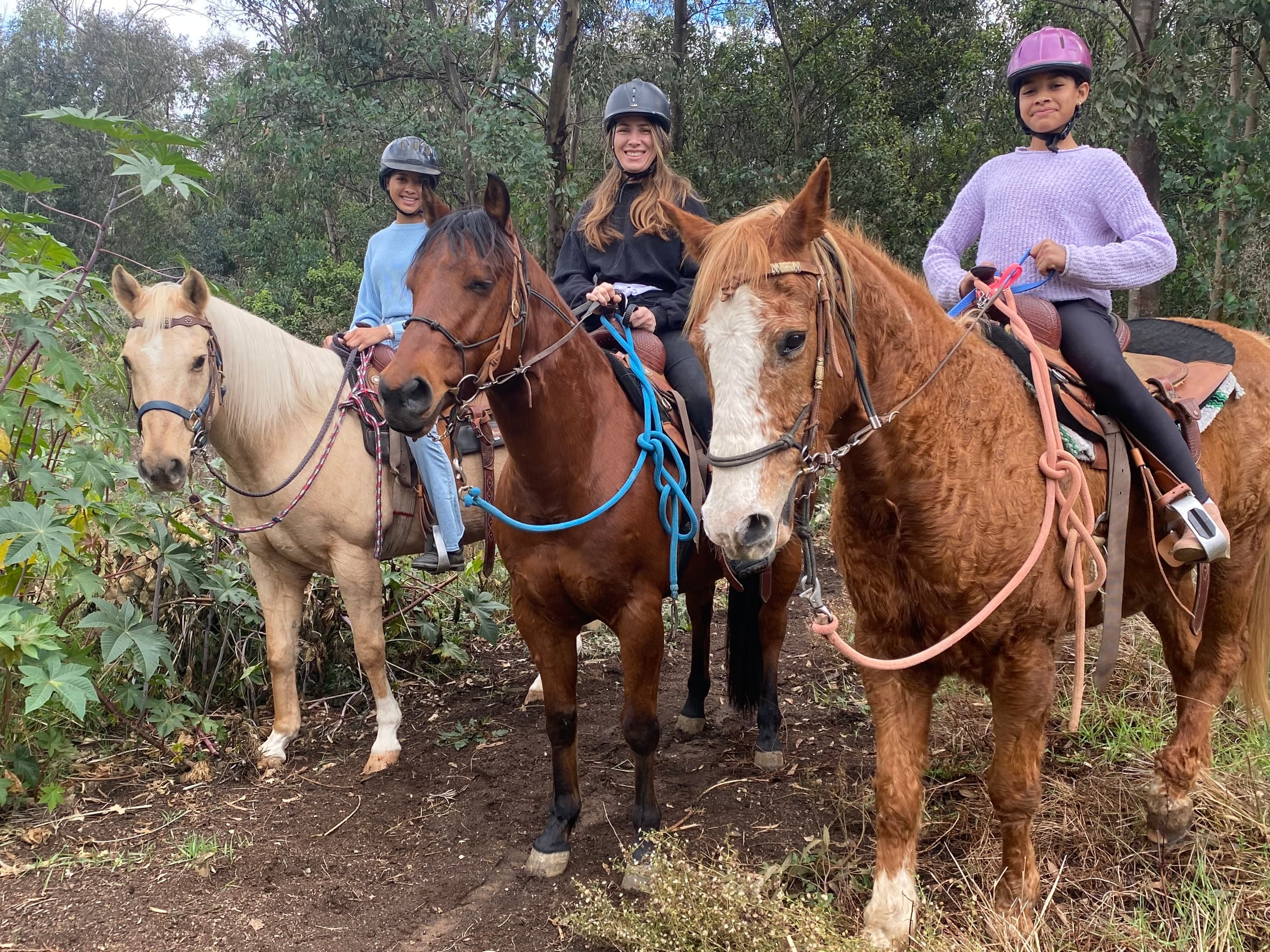 Horseback Trail Rides in Poway: Scenic Outdoor Adventure