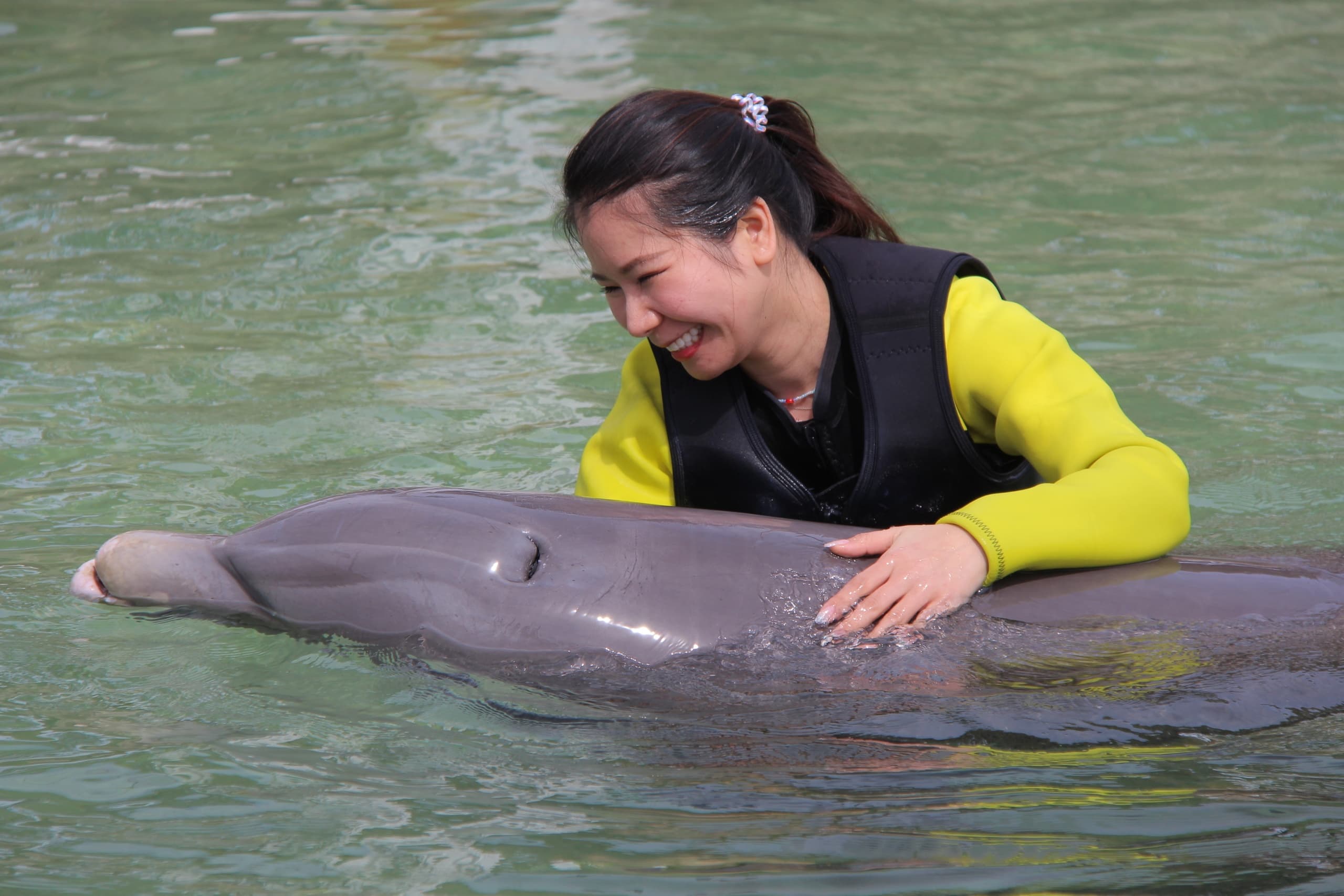 Women swimming with dolphin during supervised coastal swim program