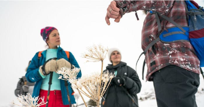 Explore Alaska’s Glen Alps on an Advanced Snowshoeing Adventure