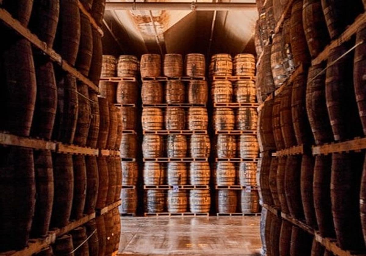 Inside BACARDÍ’s Rum Craft with San Juan Tours