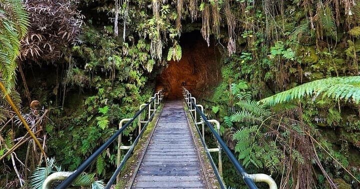 Boardwalk through lush fern canyon leading to volcanic lava tube