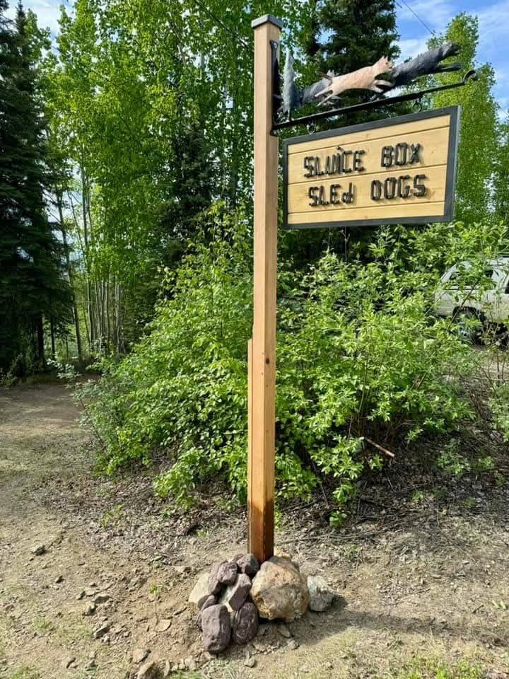 Goldstream Forest Hike & Kennel Visit: Meet Sled Dogs on Boreal Trails near Ester, Alaska