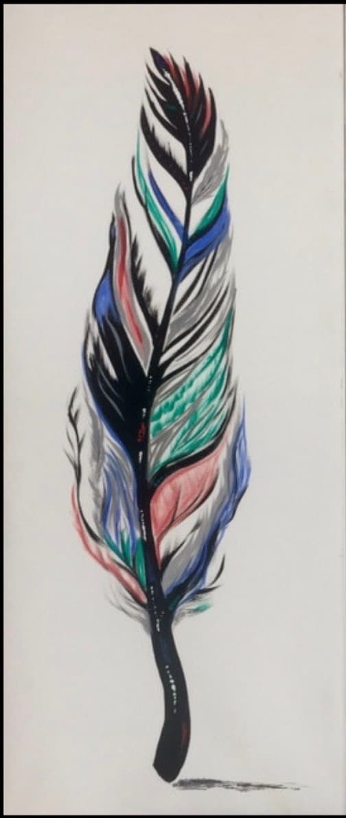 Feather: Coon Rapids River Birding and Quiet Nature Outings