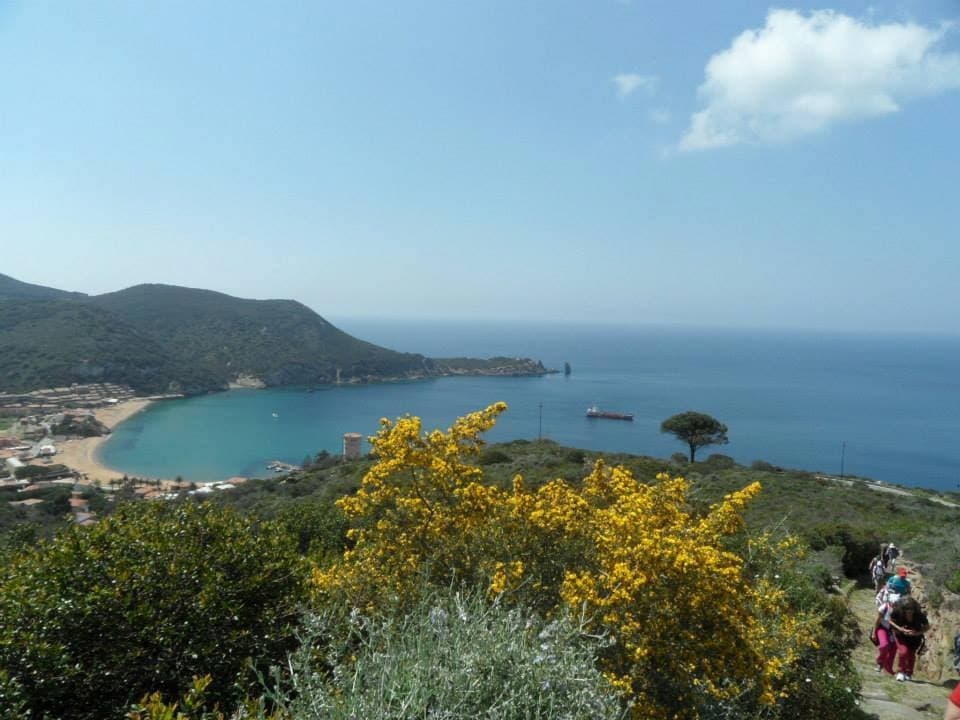 Giglio e Giannutri | Sightseeing Tour in Grosseto | Guided Tour, Boat Tour, Water Activities, Ferry