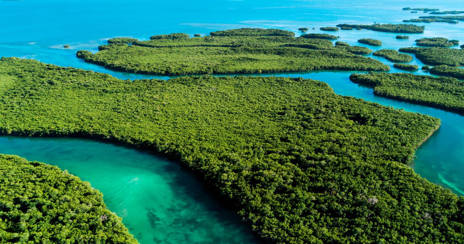 Aerial mangrove islands and turquoise waters in Florida Keys