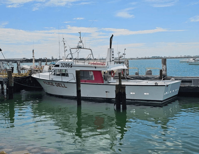 Tauranga Half-Day Kingfish and Snapper Charter — Reel Offshore Action in Bay of Plenty
