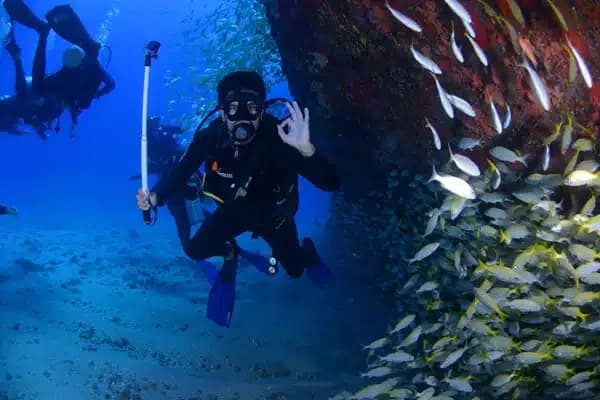 Scuba Certification with Pura Aventura in Santa Pola
