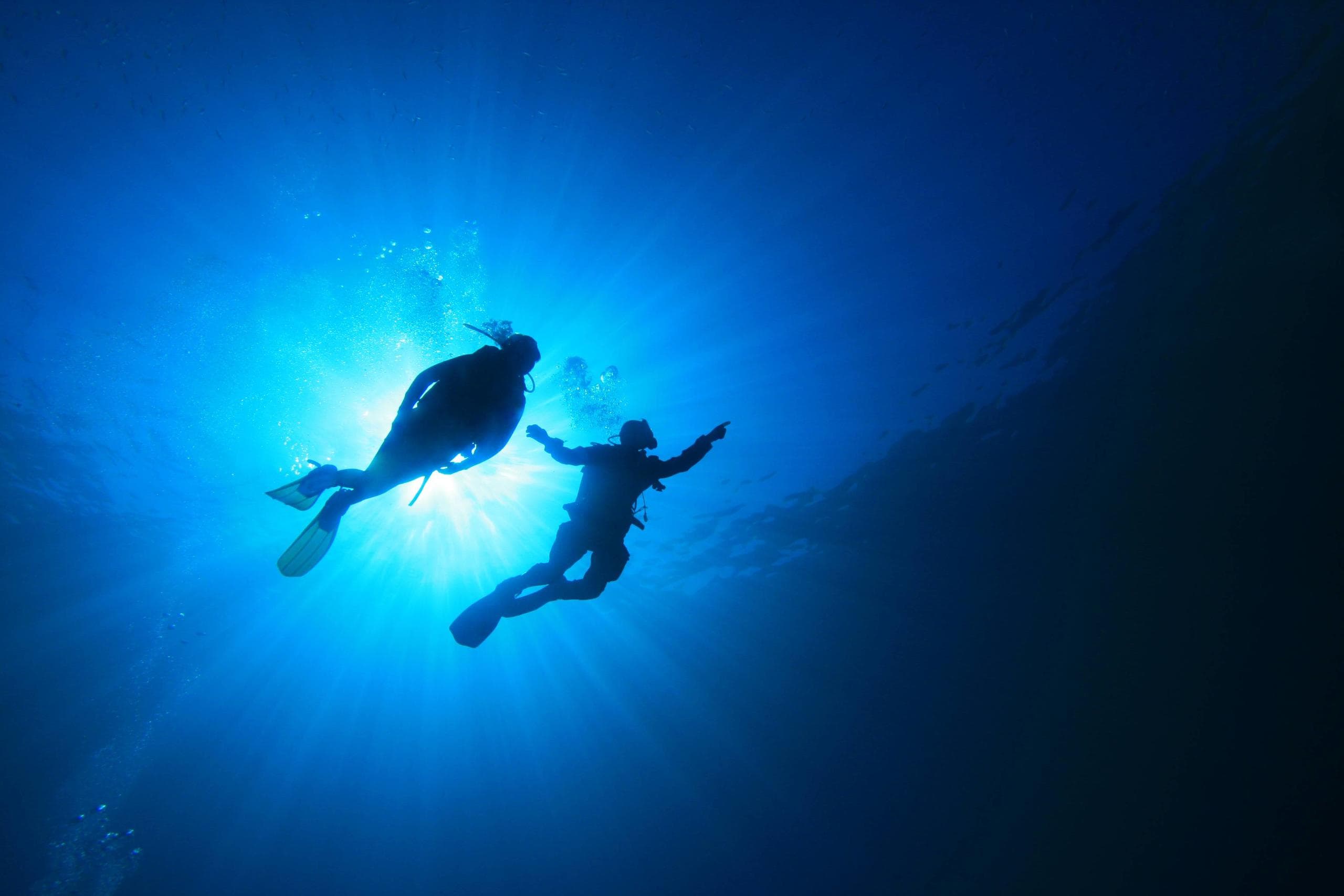 Pura Vida Diving 8-Dive Package in Las Palmas, Spain
