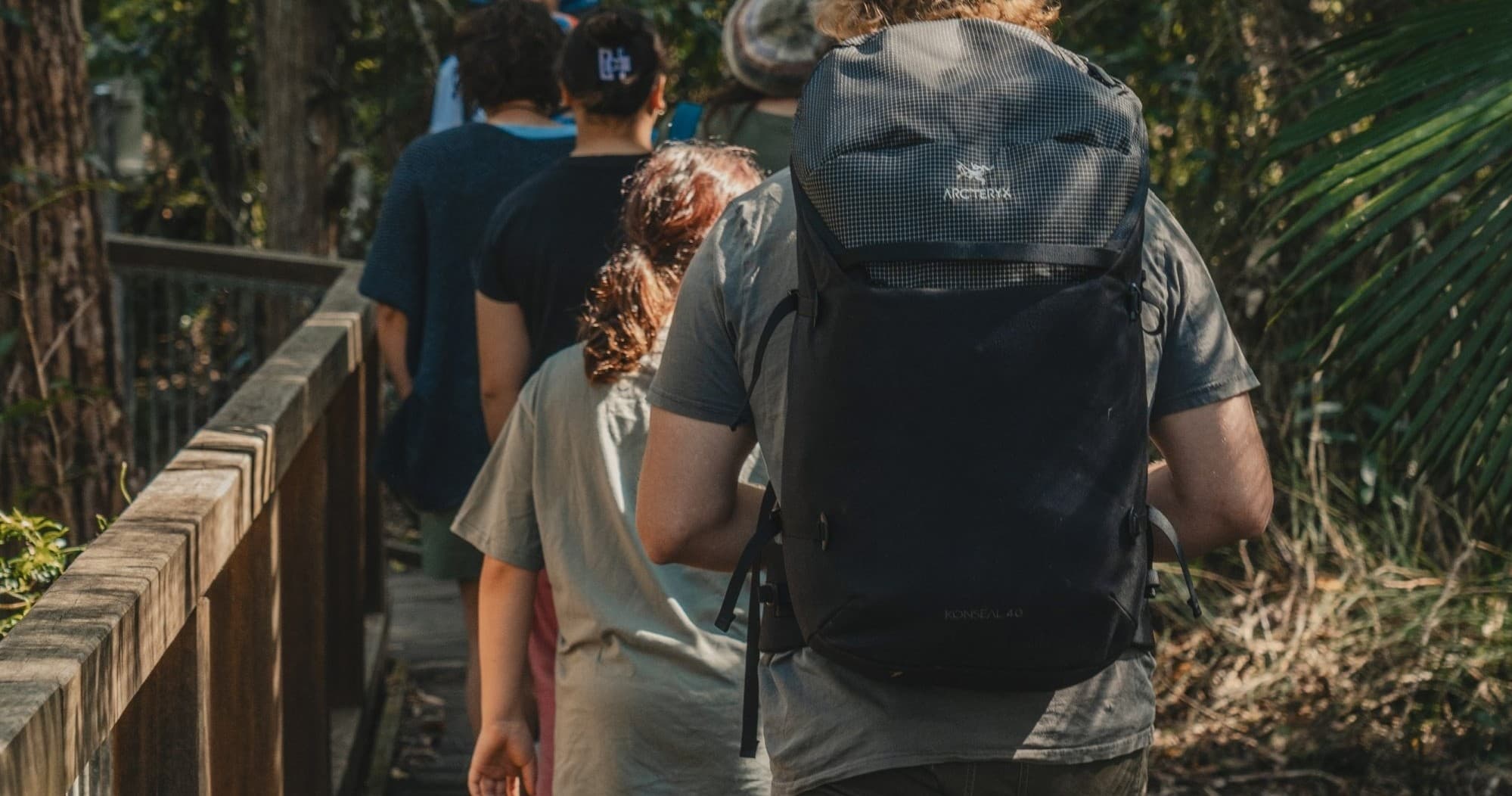 Rainforest Bushwalk Adventures with Wilderness Adventures