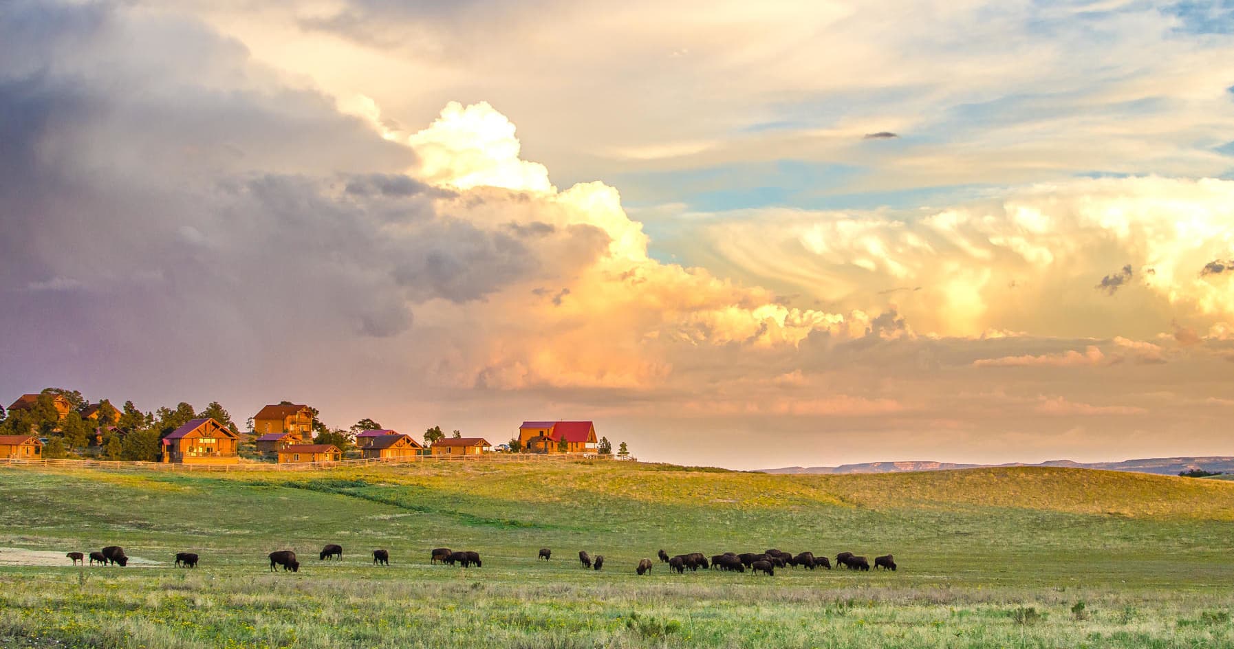 Sunset 'n Smores Bison Feeding Wagon Ride at Zion Mountain Ranch