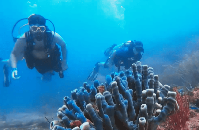 Water Activities with Gypsea Charters, LLC – Two Tank Dive Adventure