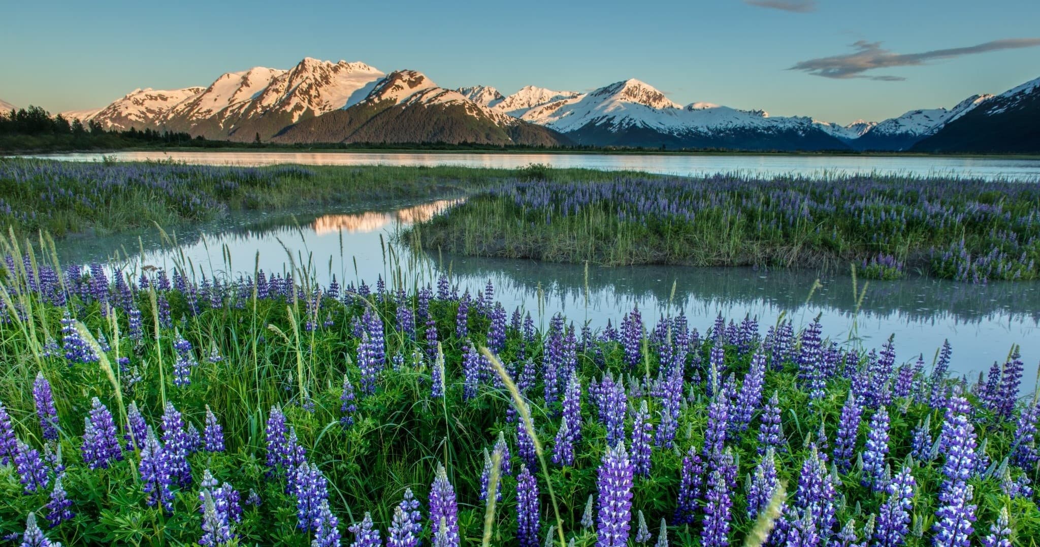 Outdoor Photography & Turnagain Arm with Alaska Photo Treks