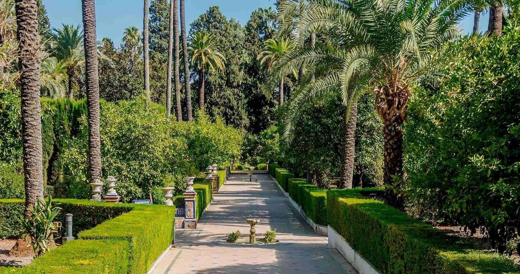 Historic Seville garden walkway lined with palm trees