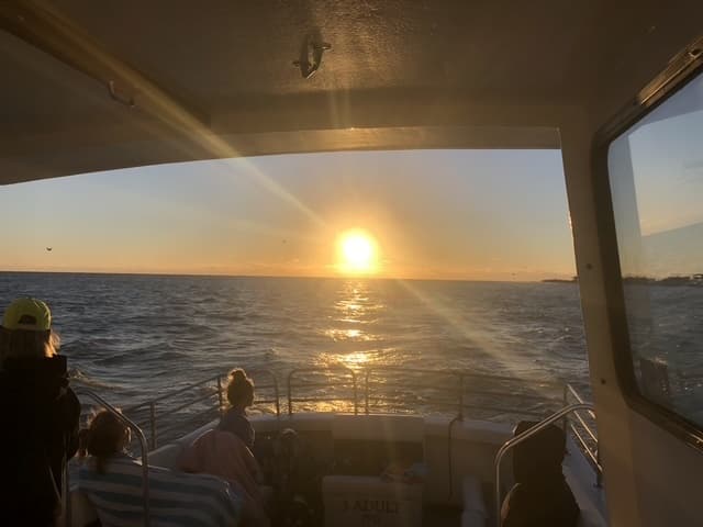 Private Charter Sunset Cruise at Boca Pass — Boca Grande Sunset Boat Tour photo 4
