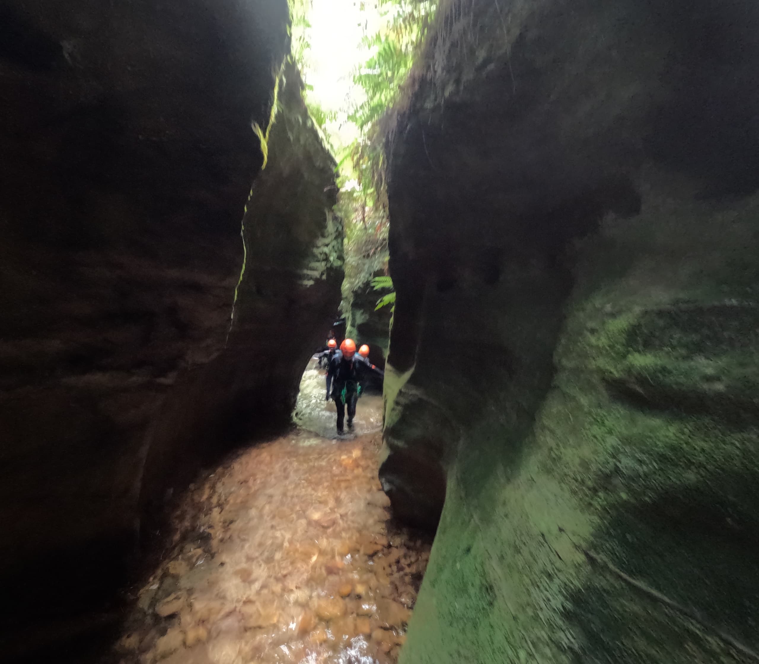 Yileen Canyon Canyoning: Abseils, Pools & Grose Valley Views in the Blue Mountains photo 4