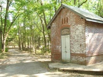 Exploring Daufuskie Island: A Deep-Dive History Tour from Hilton Head Island