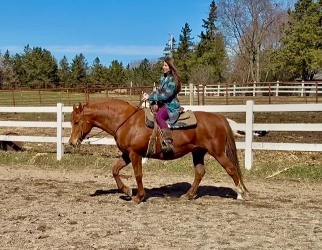 Horsepower Workshop: Horseback Confidence and Leadership in Kensington Park
