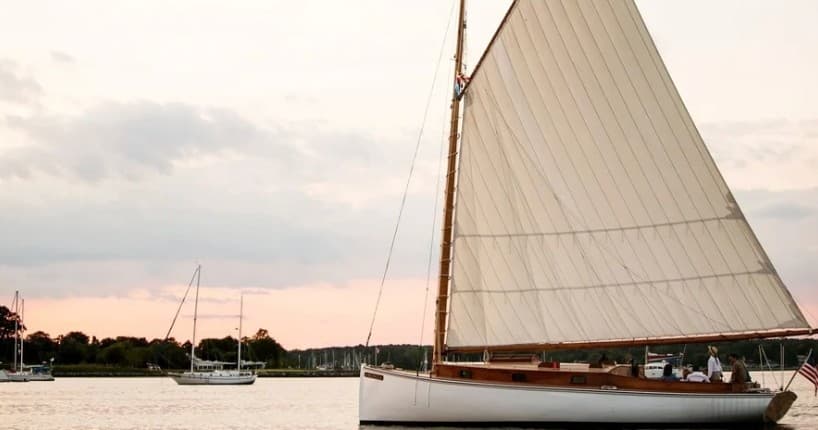 Sail Selina NY fleet