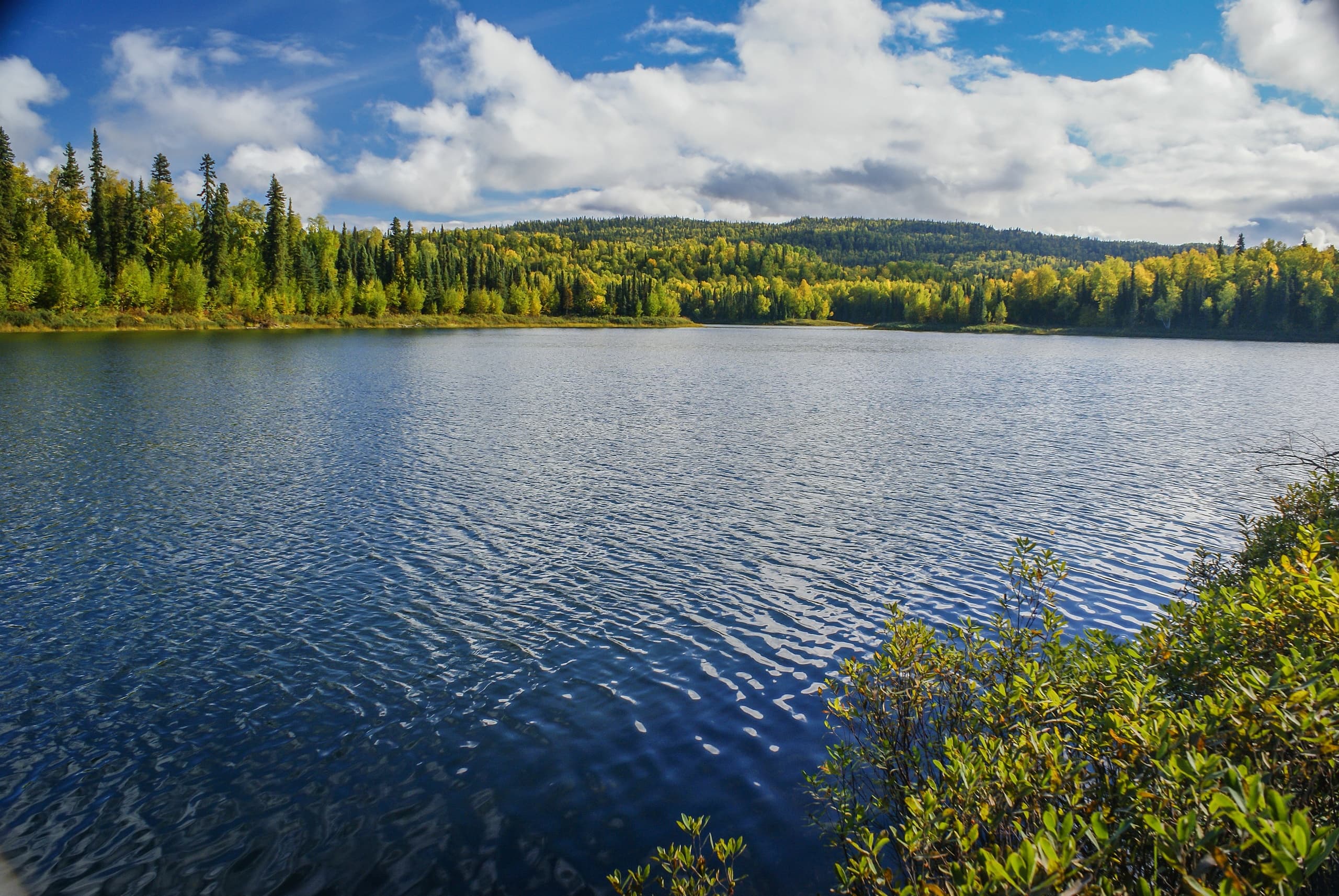 Scenic boreal lake with forested shoreline reflecting blue sky