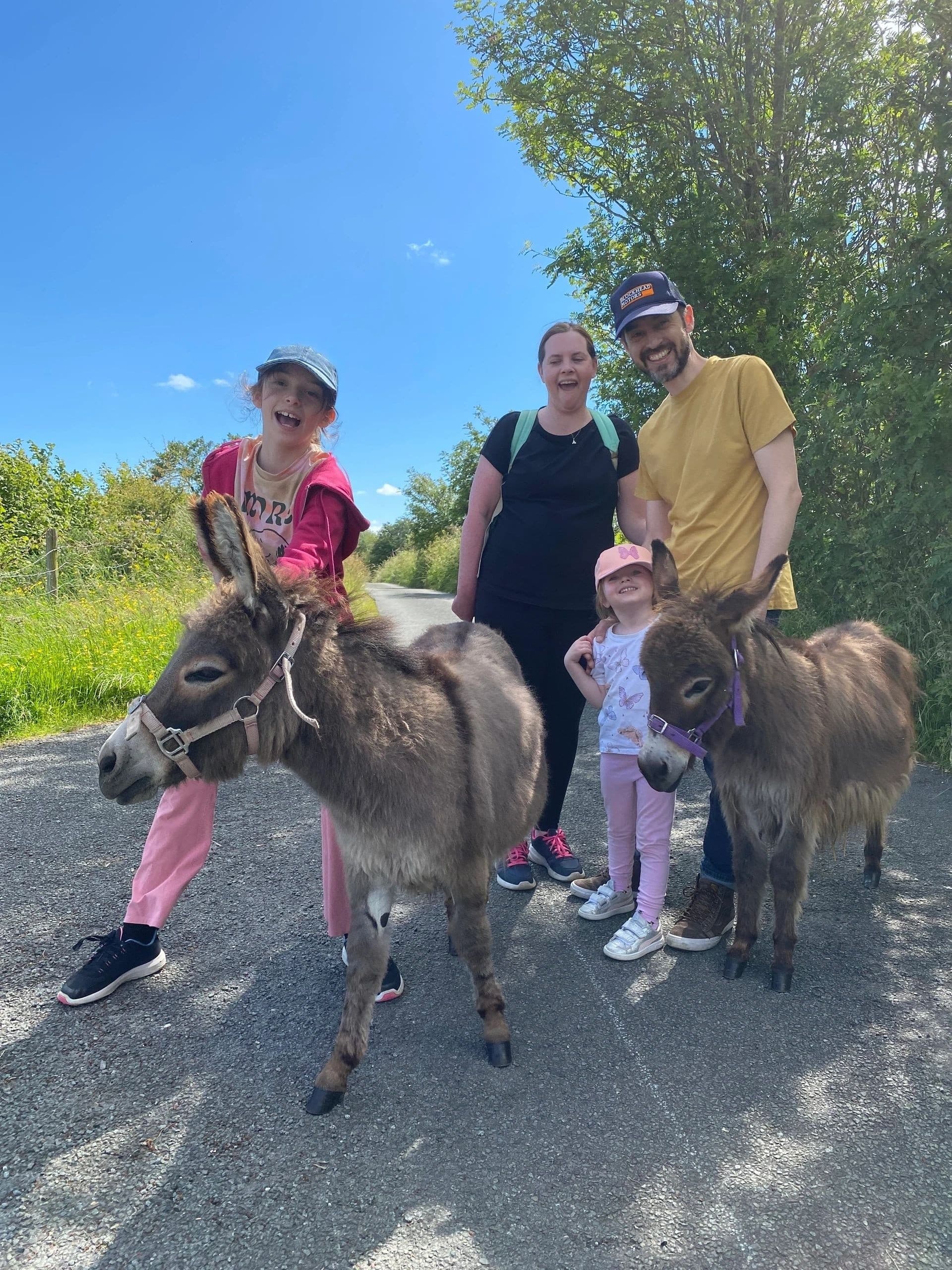 Hands-On Alpaca Experience in Graianrhyd — Family-Friendly Woolly Encounters photo 1