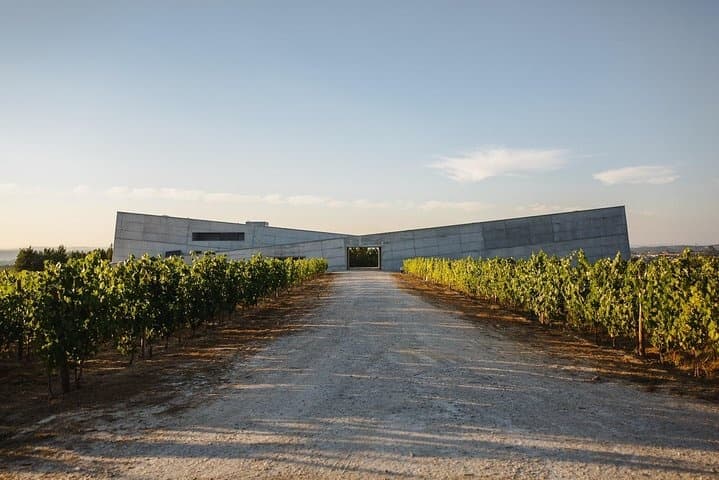 Gravel vineyard lane leading to modern winery building at sunset