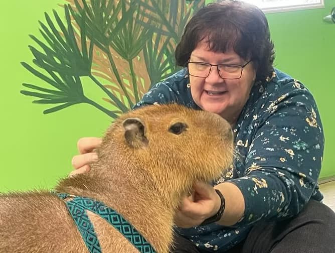 Wildlife & Animal Encounters at Capyfriends Cafe — Unique Furry Experience