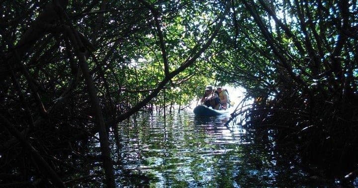 Private Punta Arenas Snorkeling Tour — Family-Friendly Snorkel in Vieques, Puerto Rico