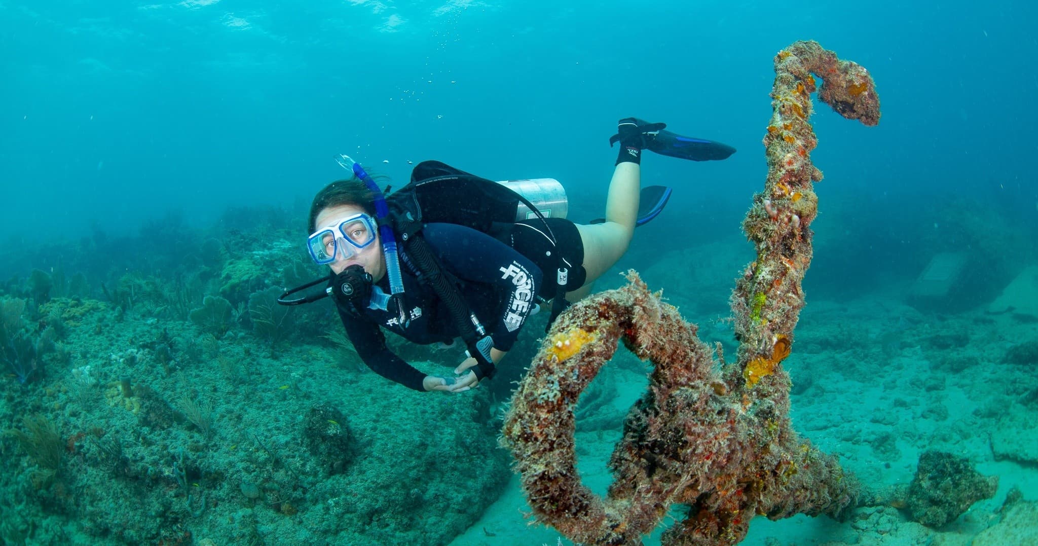 Boca Raton Boat Dives — Guided Offshore Scuba with Force-E photo 3